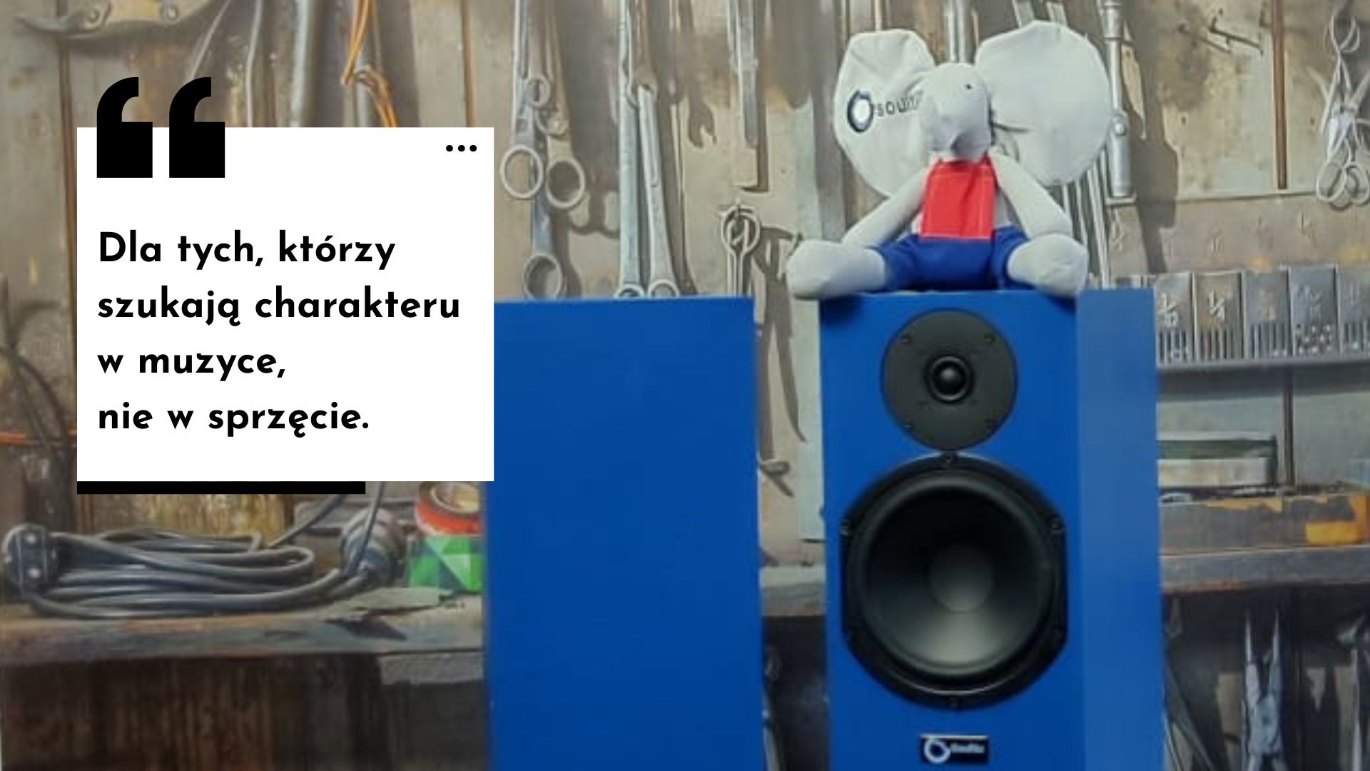 Jeden gatunek czy cała biblioteka? Dlaczego w Soultic nie robimy głośników do rocka, jazzu, popu itd.